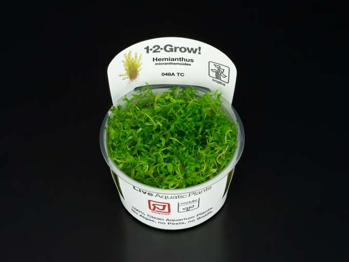 Aqua Rebell Mikro Spezial Flowgrow | ZOOBOX