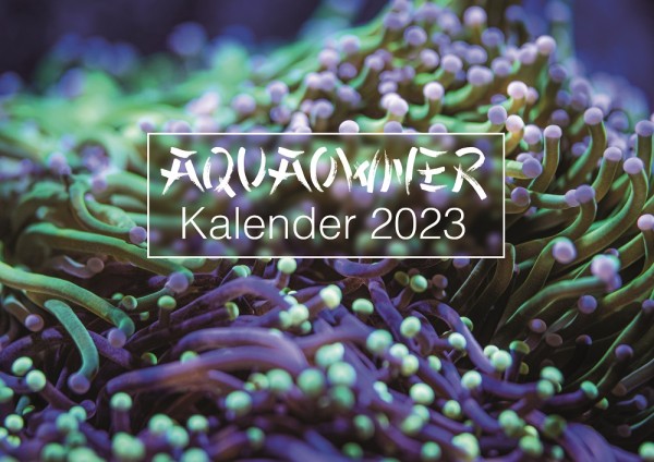 AquaOwner Kalender 2023
